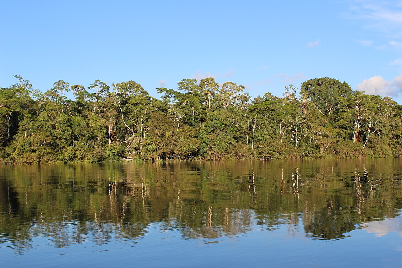 Floresta Amazônica refletida em um rio