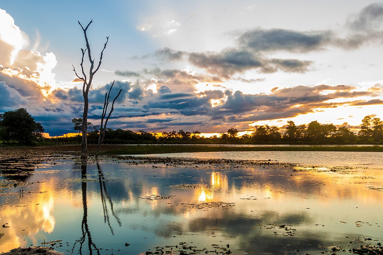 Paisagem alagada do Pantanal ao pôr do sol